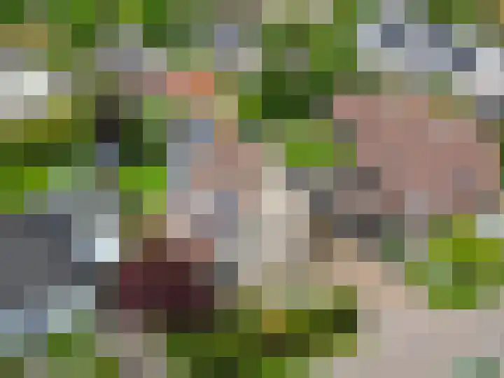 De Draai 4 Gytsjerk thumbnail 51