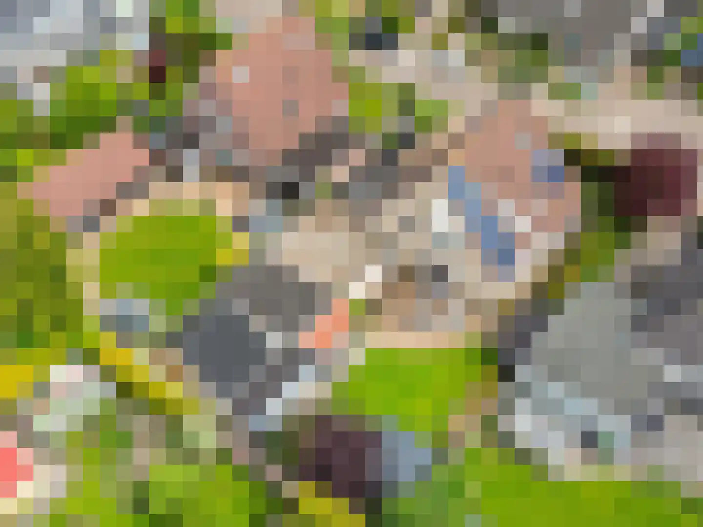 De Draai 4 Gytsjerk thumbnail 53