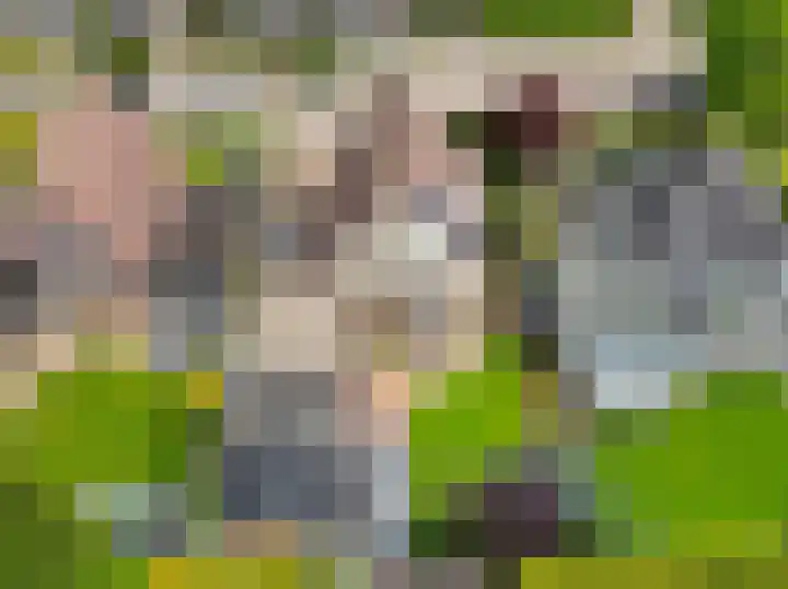 De Draai 4 Gytsjerk thumbnail 54