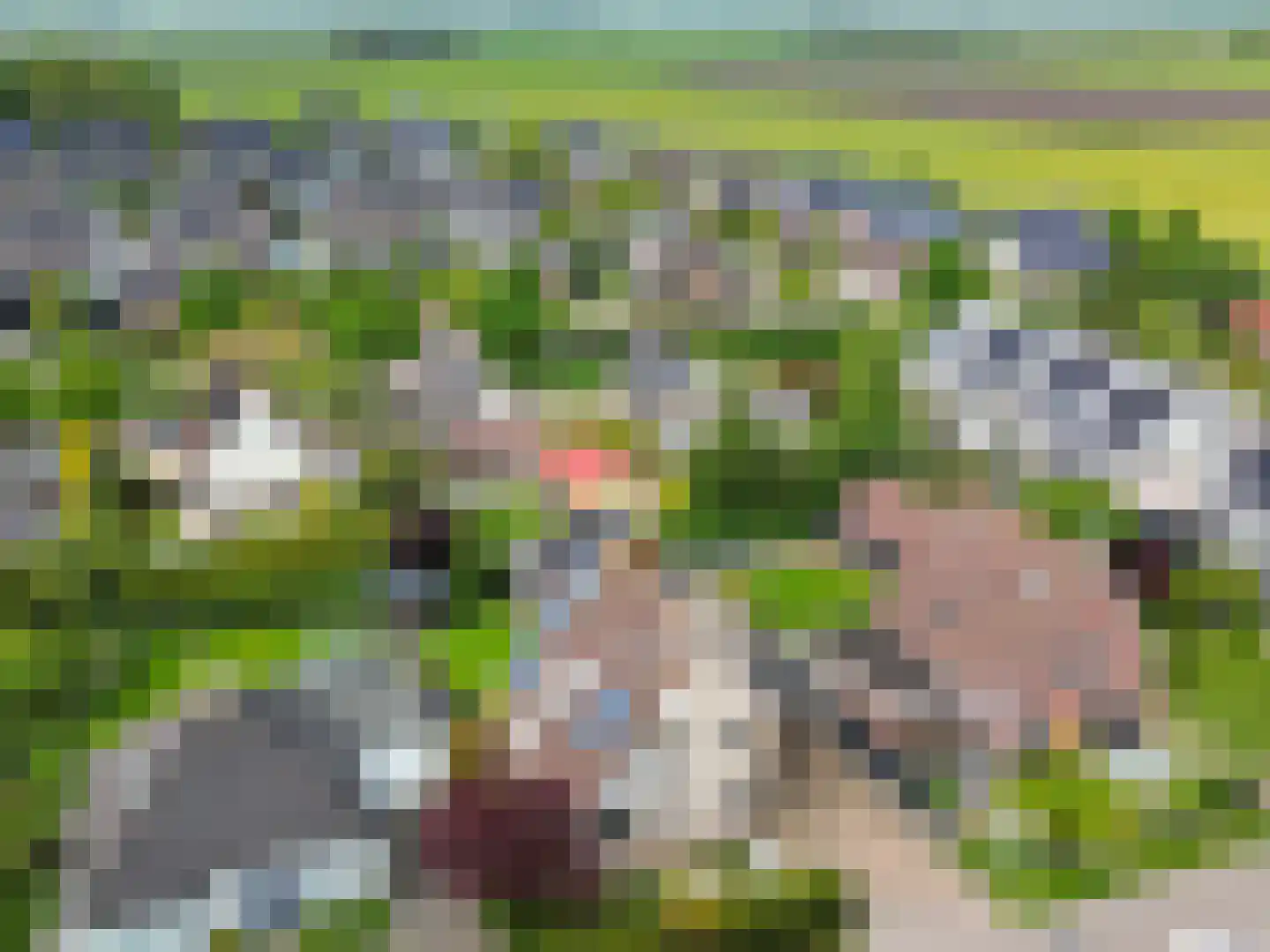 De Draai 4 Gytsjerk thumbnail 6
