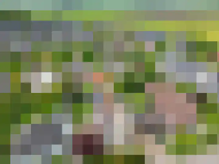 De Draai 4 Gytsjerk thumbnail 6