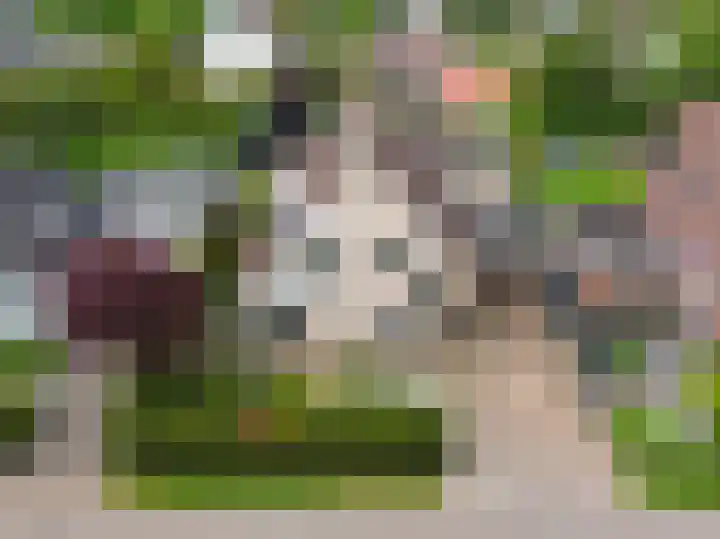De Draai 4 Gytsjerk thumbnail 7