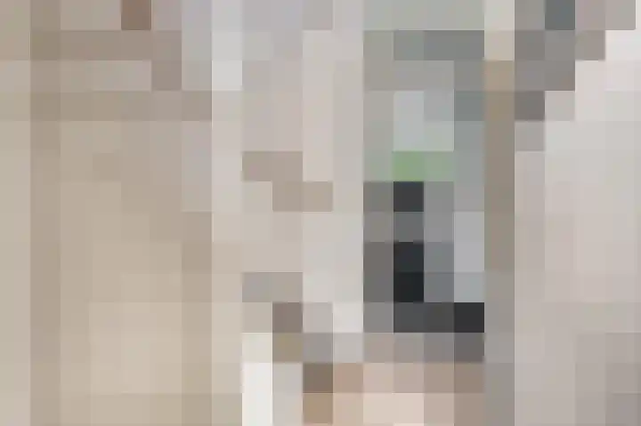 De Draai 5 Arnhem thumbnail 18