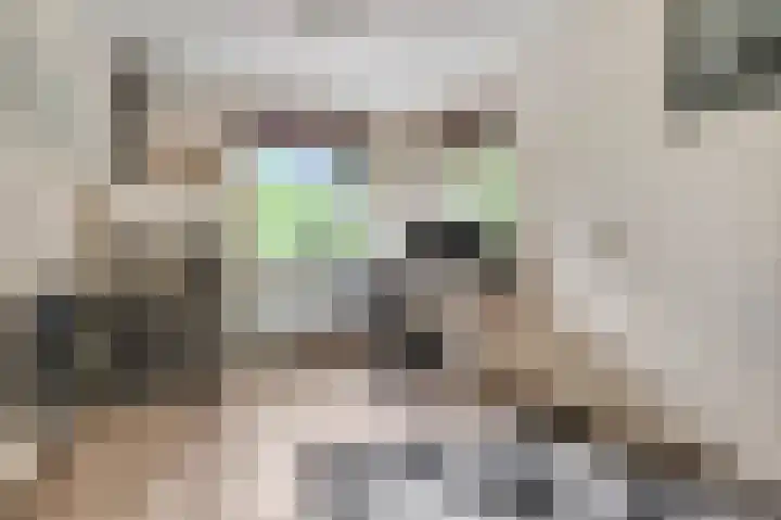 De Draai 5 Arnhem thumbnail 19