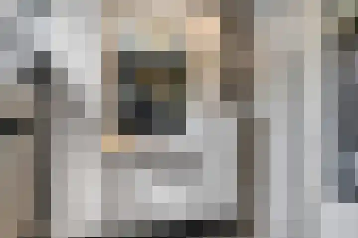 De Draai 5 Arnhem thumbnail 22