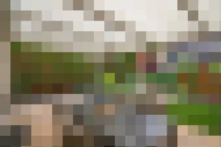 De Draai 5 Arnhem thumbnail 33