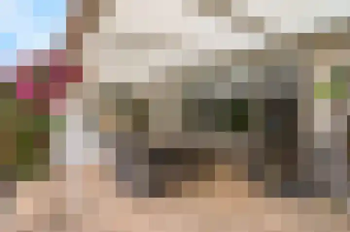 De Draai 5 Arnhem thumbnail 36
