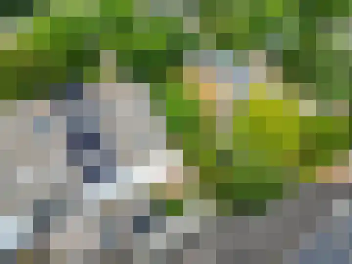 De Draai 5 Arnhem thumbnail 38