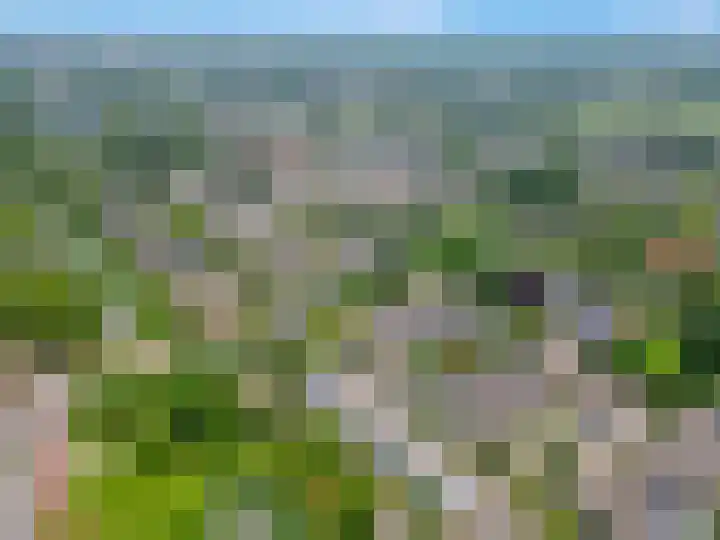 De Draai 5 Arnhem thumbnail 4