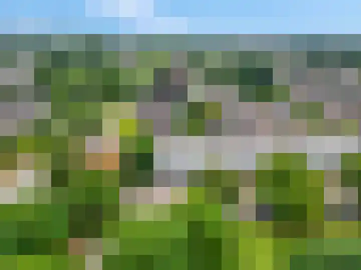 De Draai 5 Arnhem thumbnail 40