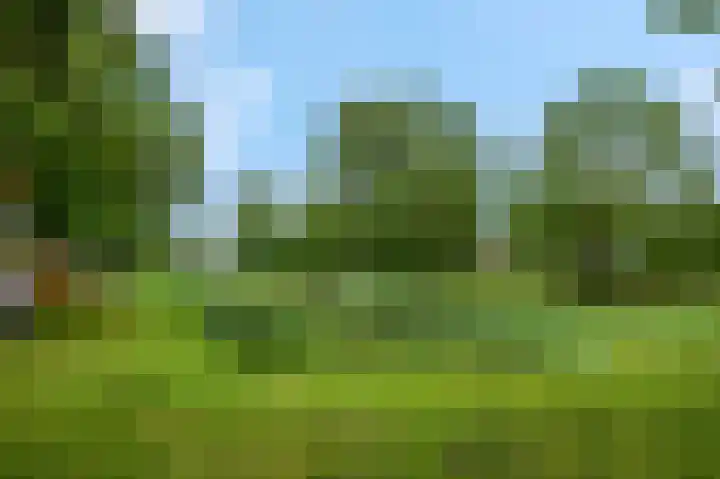 De Draai 5 Arnhem thumbnail 43