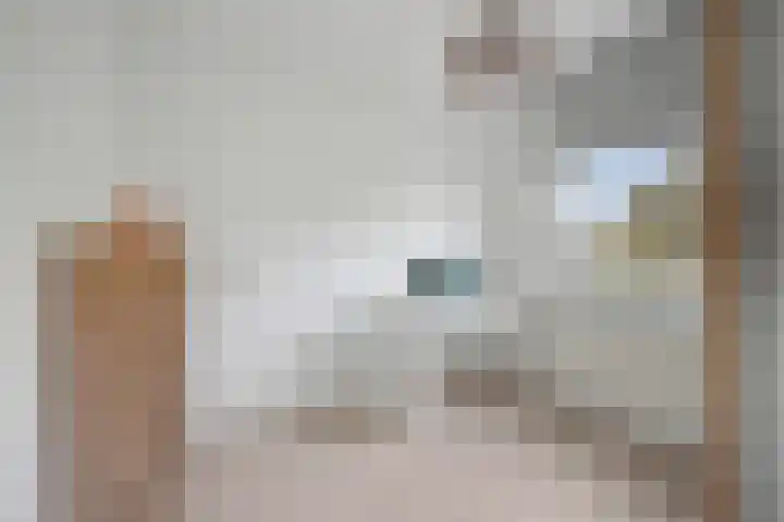 De Draai 7 Arnhem thumbnail 21