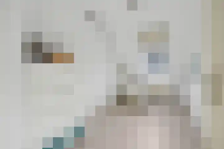 De Draai 7 Arnhem thumbnail 22