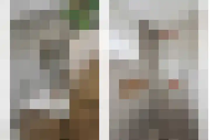 De Draai 7 Arnhem thumbnail 24