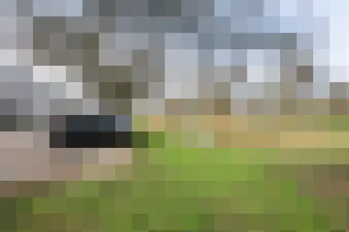 De Draai 7 Arnhem thumbnail 35