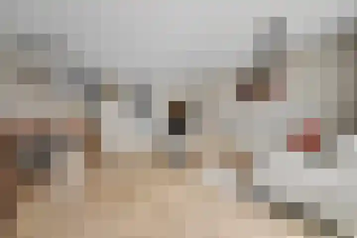 De Draai 7 Arnhem thumbnail 8
