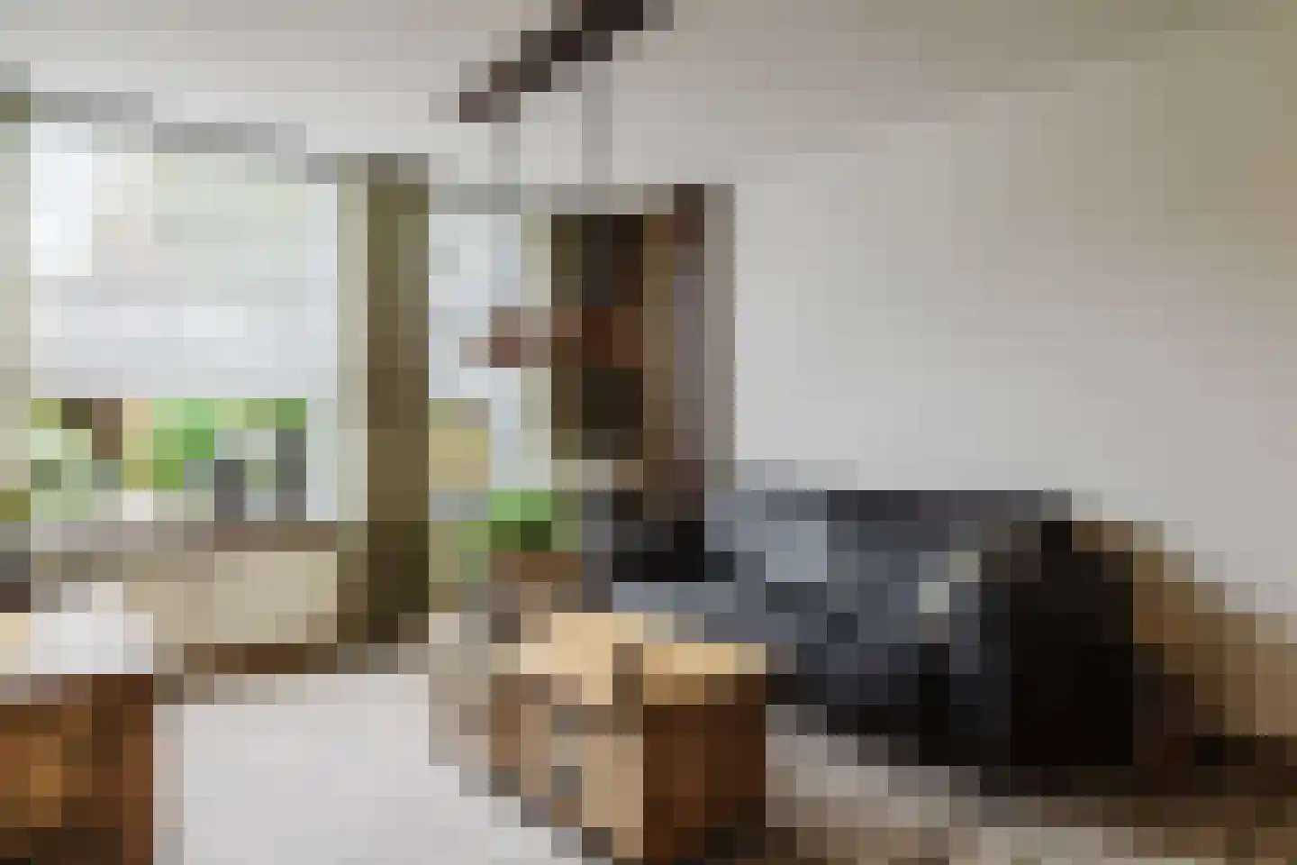 de Draaikes 8 Klein Zundert thumbnail 15