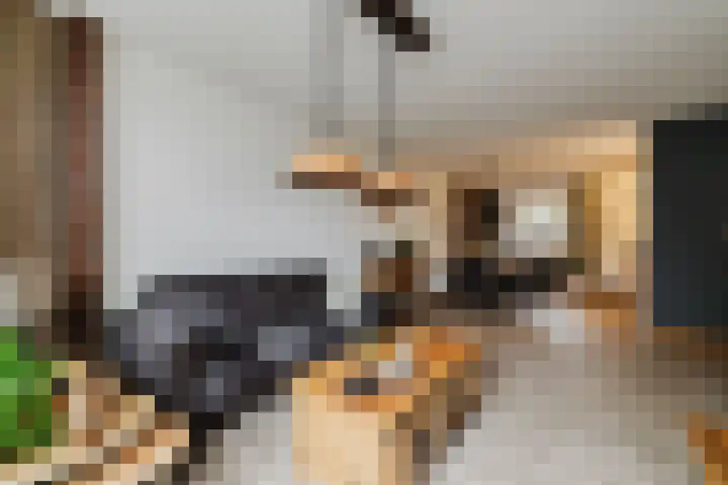 de Draaikes 8 Klein Zundert thumbnail 16