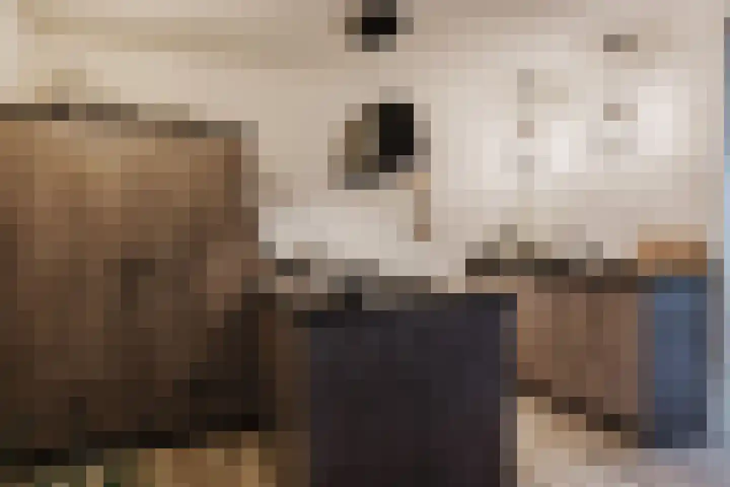 de Draaikes 8 Klein Zundert thumbnail 19