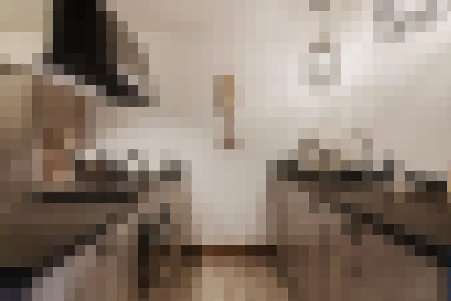 de Draaikes 8 Klein Zundert thumbnail 20