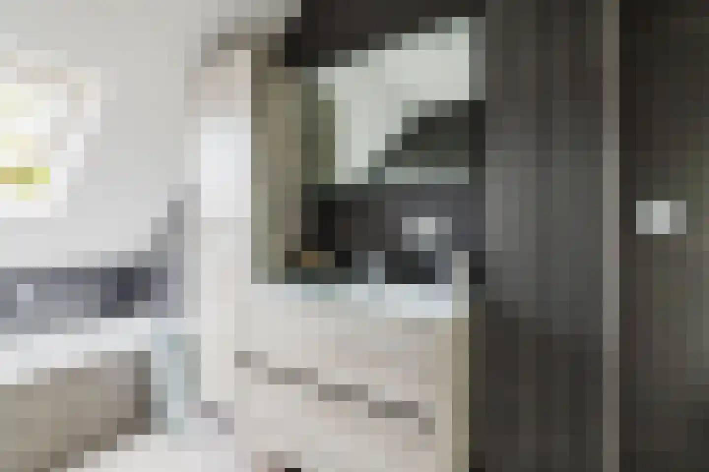 de Draaikes 8 Klein Zundert thumbnail 35