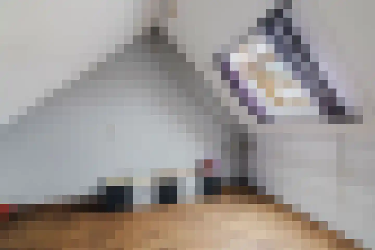 de Draaikes 8 Klein Zundert thumbnail 37