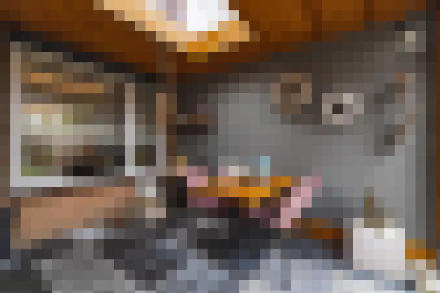de Draaikes 8 Klein Zundert thumbnail 43