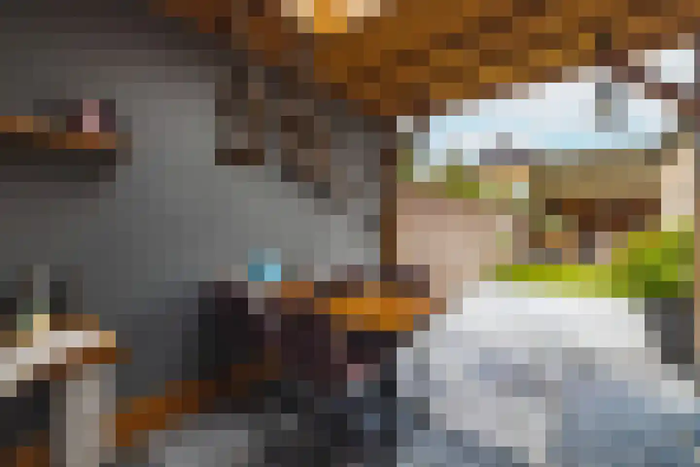 de Draaikes 8 Klein Zundert thumbnail 44