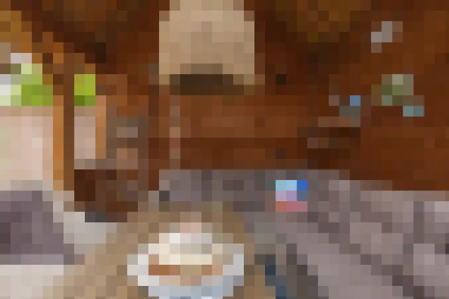 de Draaikes 8 Klein Zundert thumbnail 46
