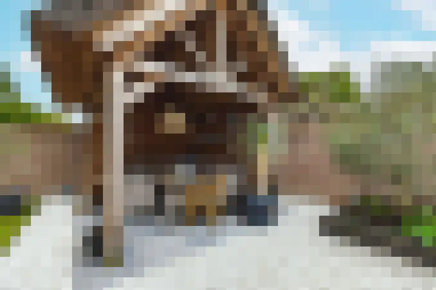 de Draaikes 8 Klein Zundert thumbnail 48