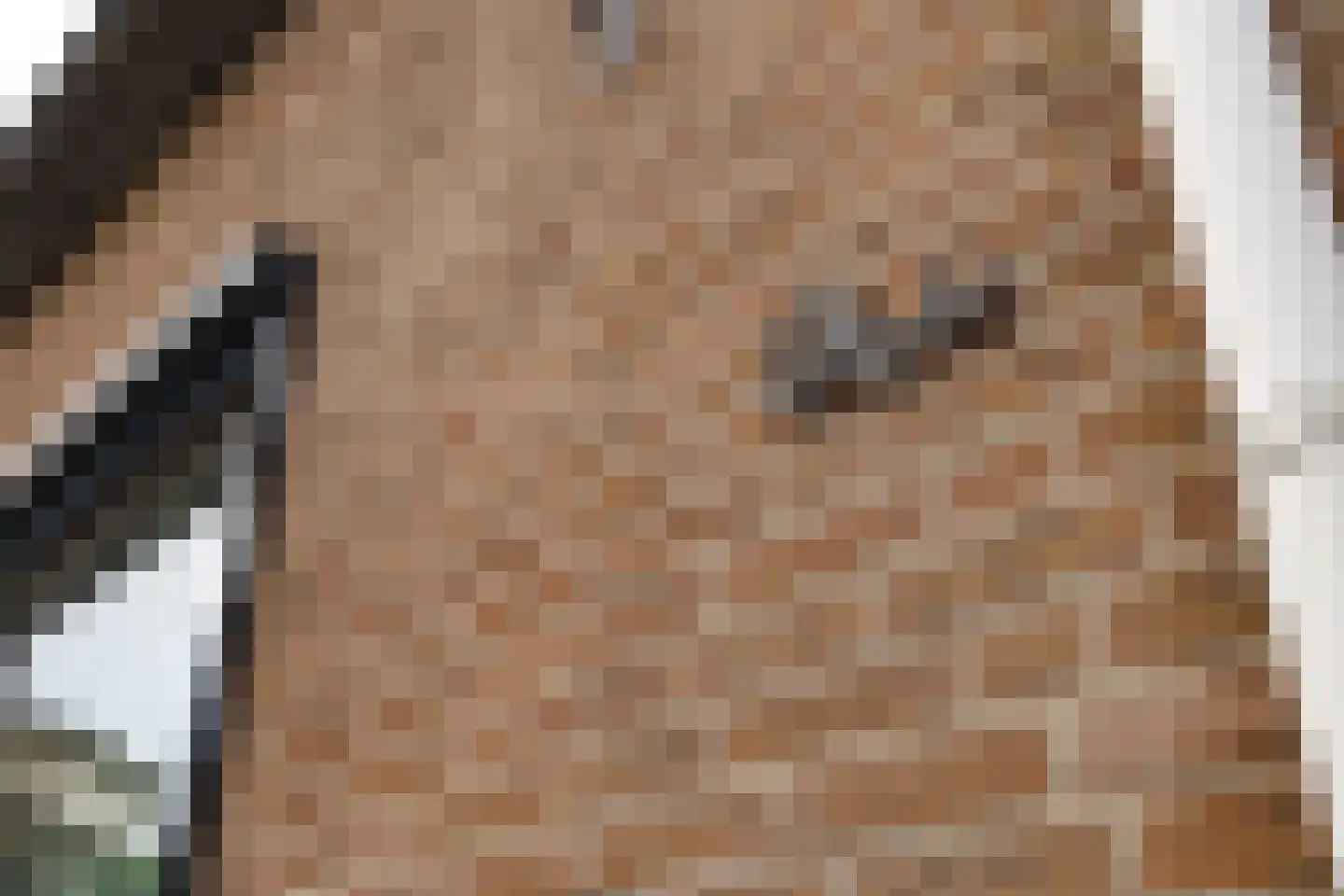 de Draaikes 8 Klein Zundert thumbnail 50