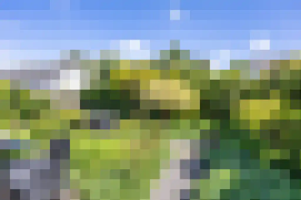 De Dracht 22 Bolsward thumbnail 36