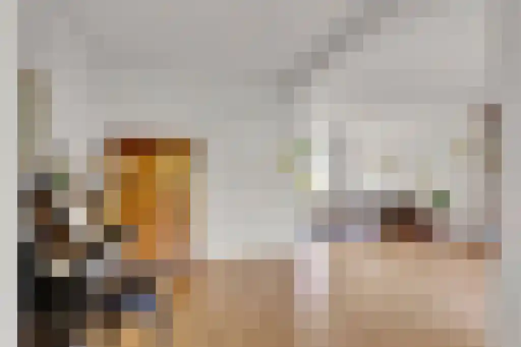 De Dracht 22 Bolsward thumbnail 8