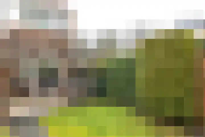De Dracht 55 Drachten thumbnail 8