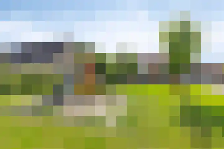 De Dracht 66 Drachten thumbnail 35