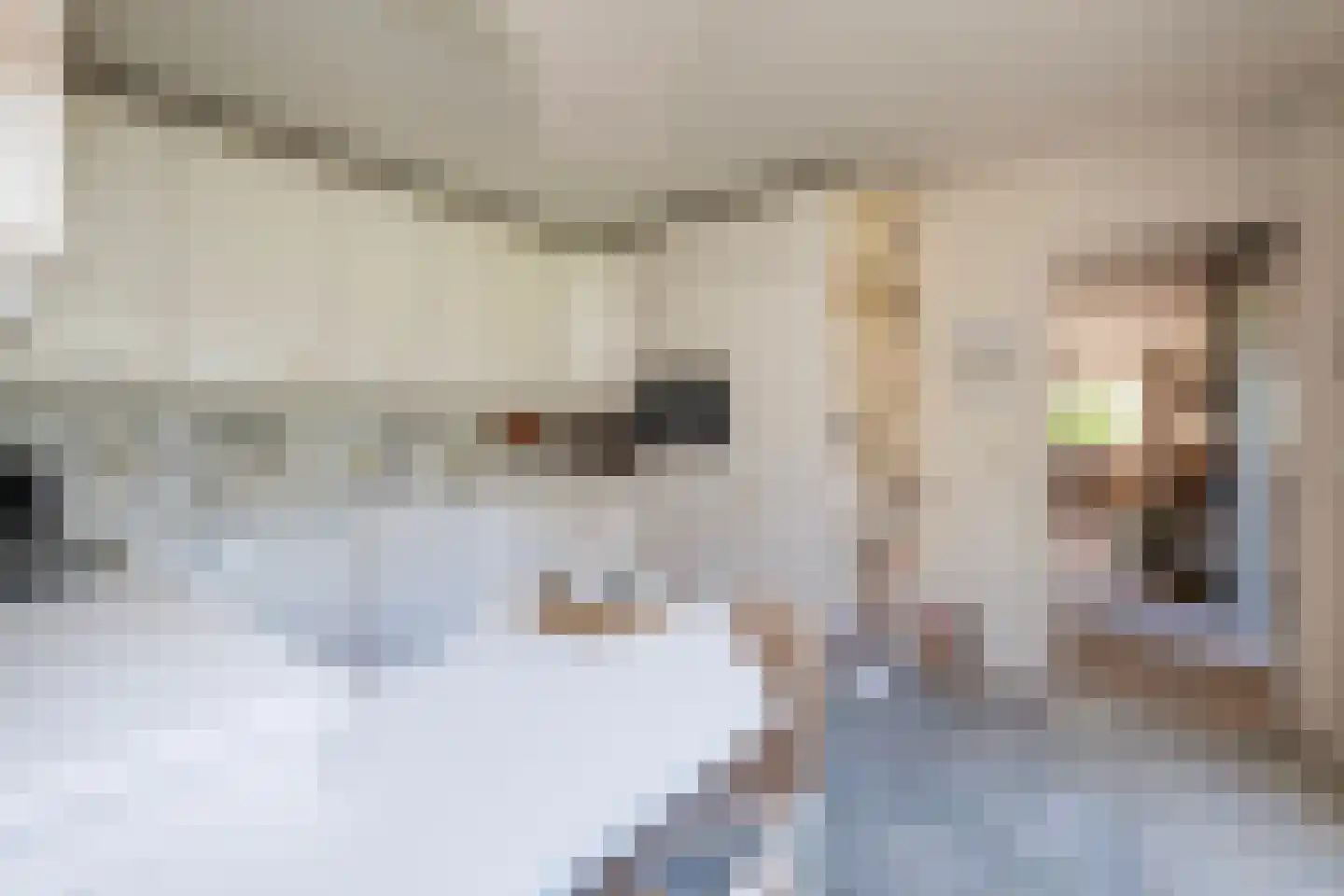De Draf 2 Dronten thumbnail 11