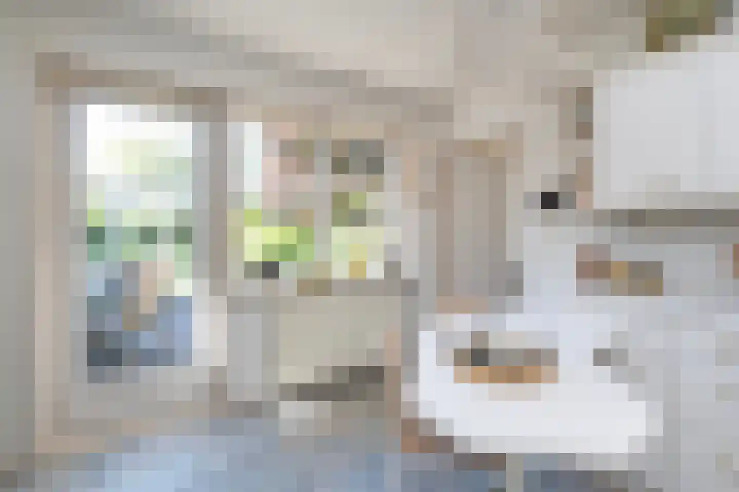 De Draf 2 Dronten thumbnail 12