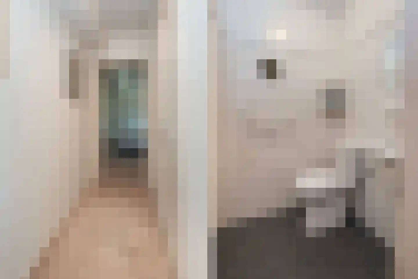 De Draf 2 Dronten thumbnail 15