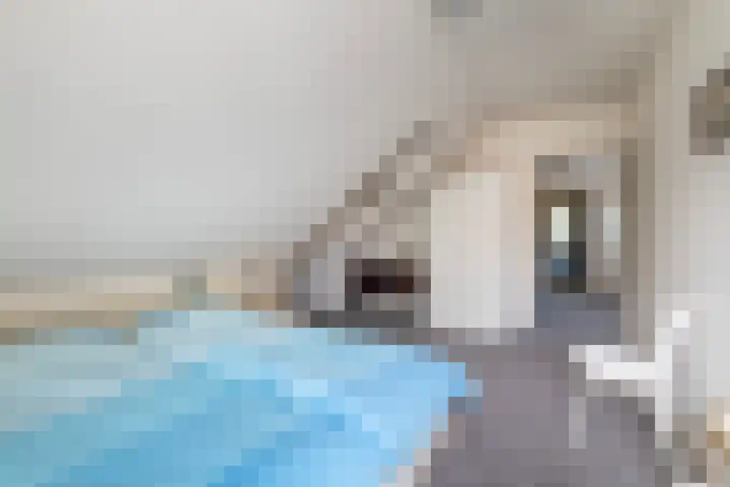 De Draf 2 Dronten thumbnail 26