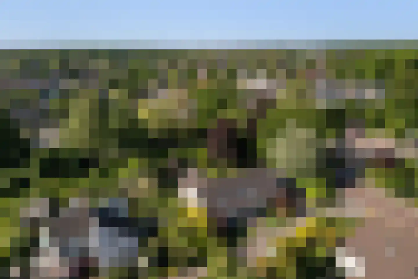 De Draf 2 Dronten foto 3