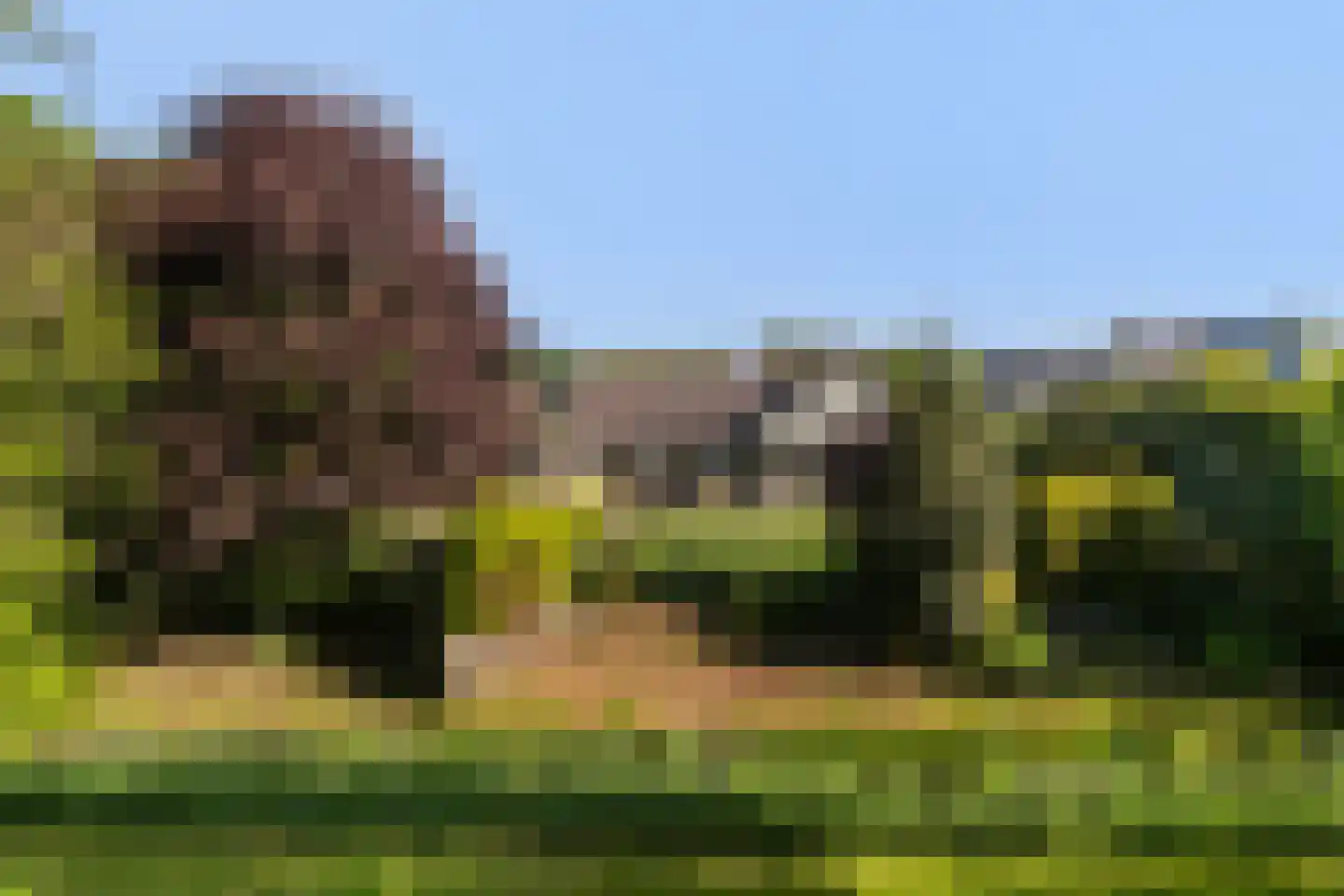 De Draf 2 Dronten thumbnail 32