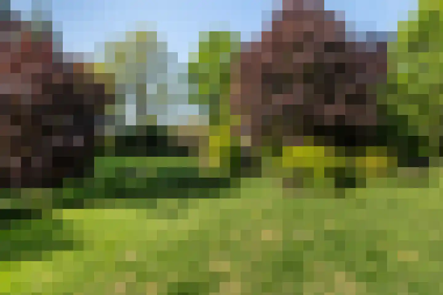 De Draf 2 Dronten thumbnail 33