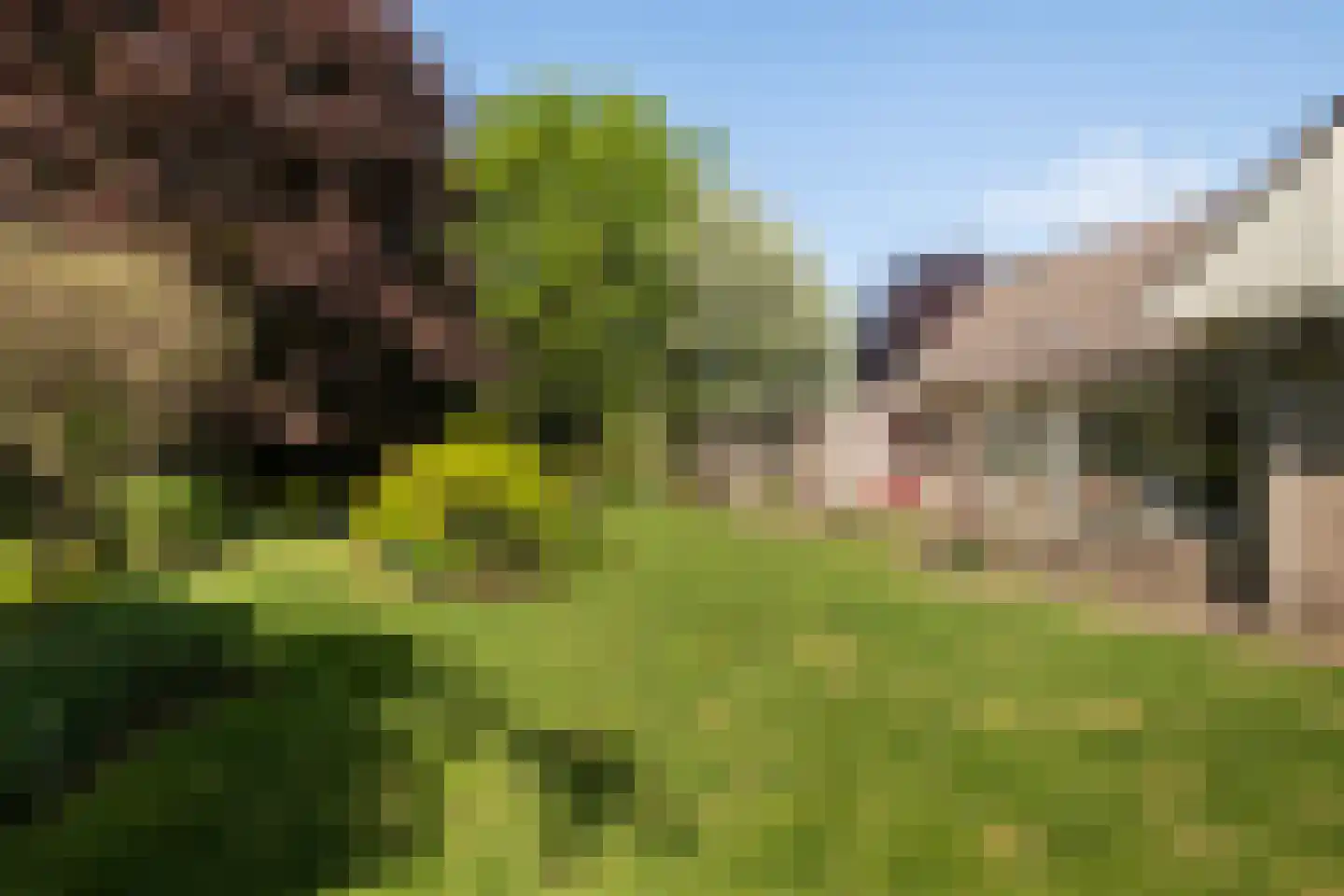 De Draf 2 Dronten thumbnail 34