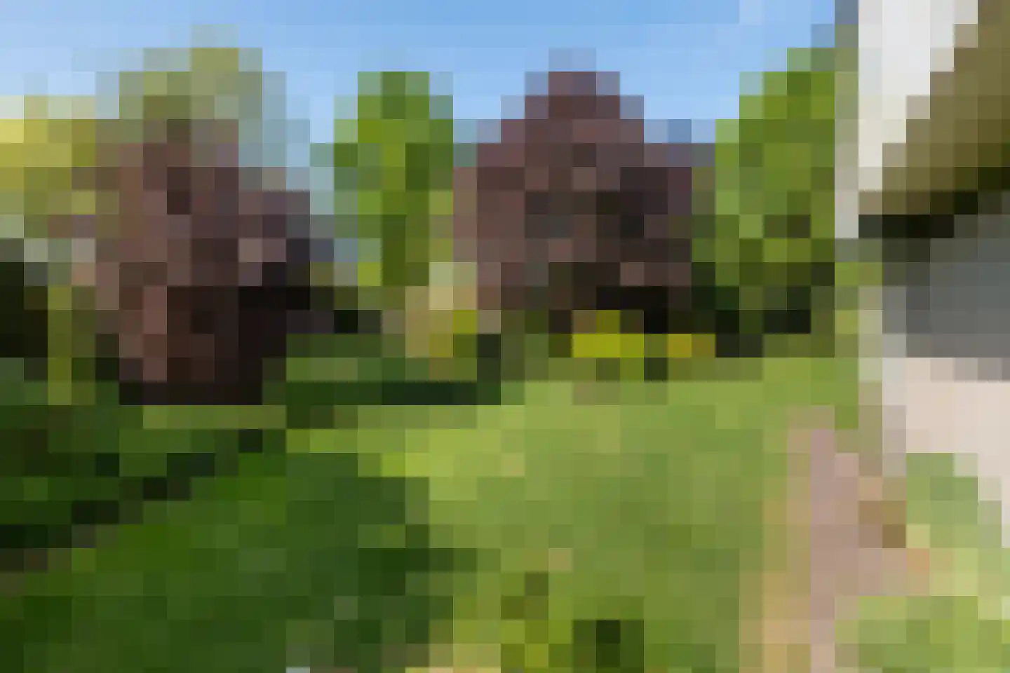 De Draf 2 Dronten thumbnail 36