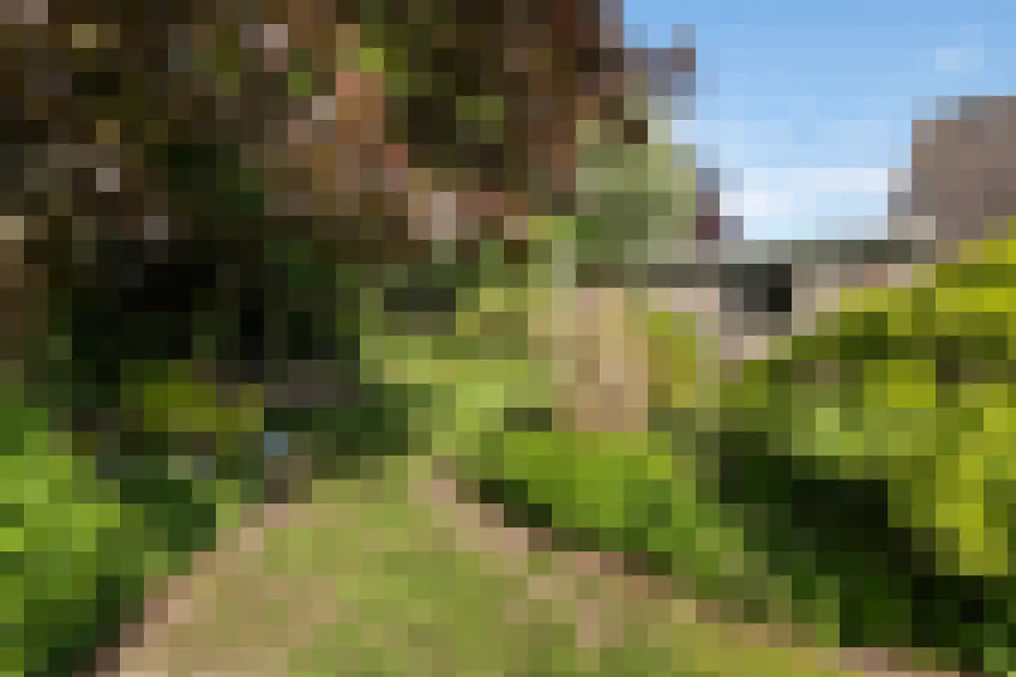 De Draf 2 Dronten thumbnail 37