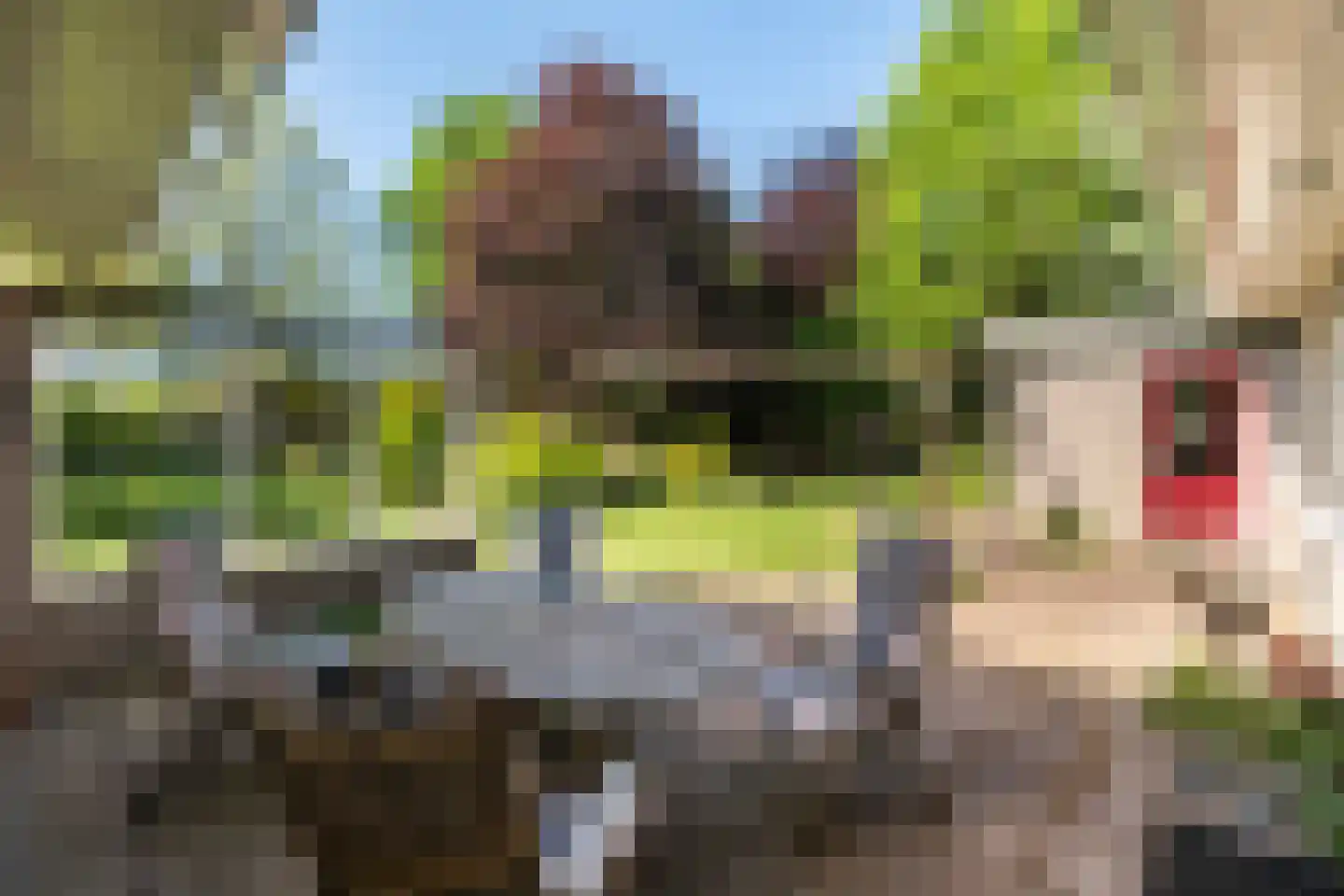 De Draf 2 Dronten thumbnail 38