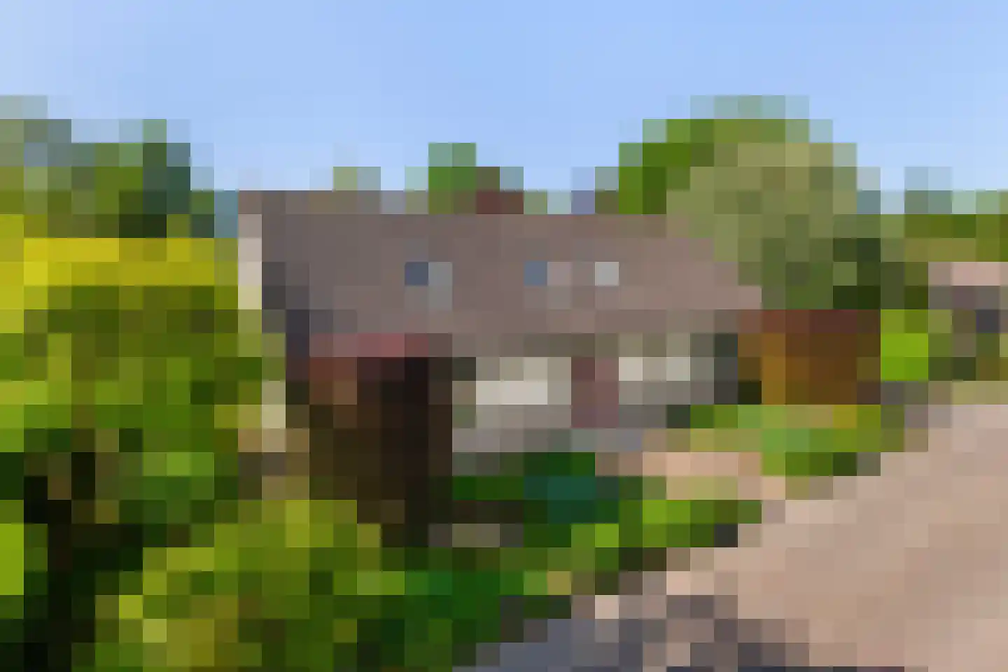 De Draf 2 Dronten thumbnail 41