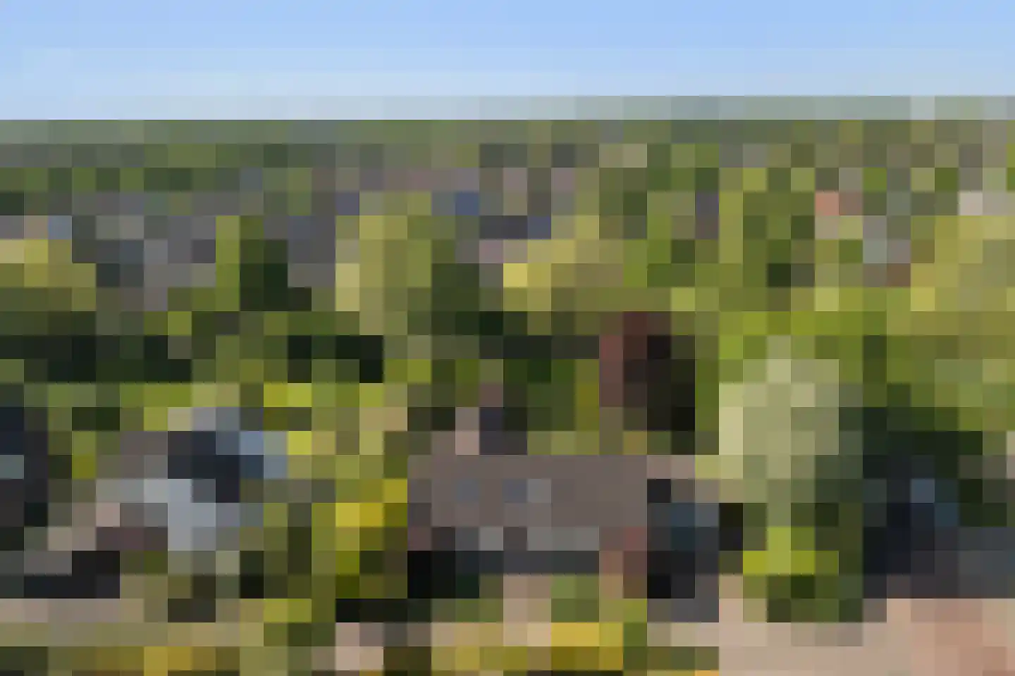 De Draf 2 Dronten thumbnail 45