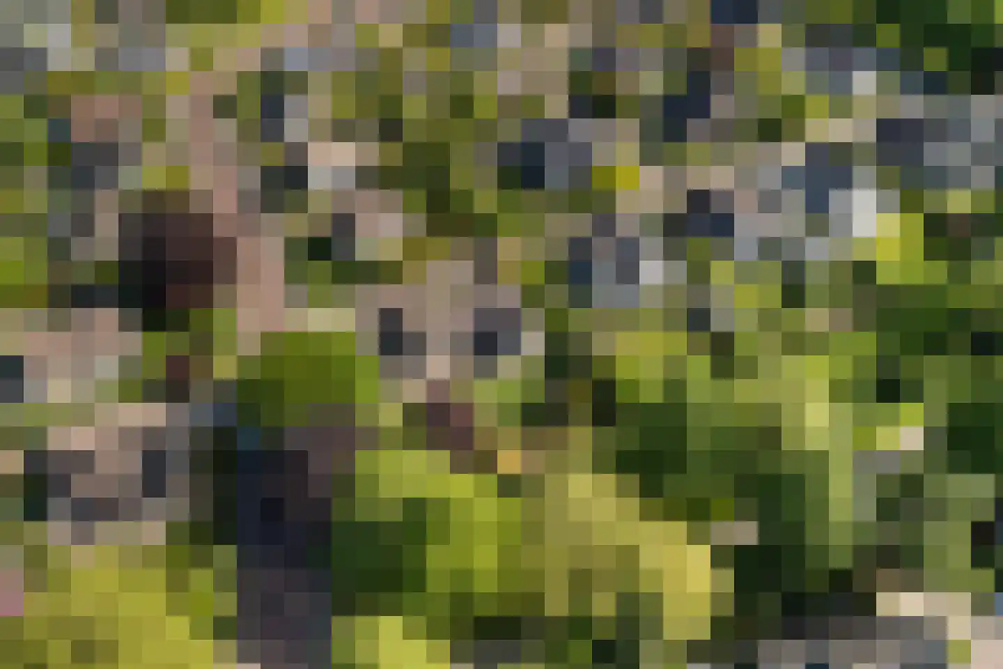 De Draf 2 Dronten thumbnail 46
