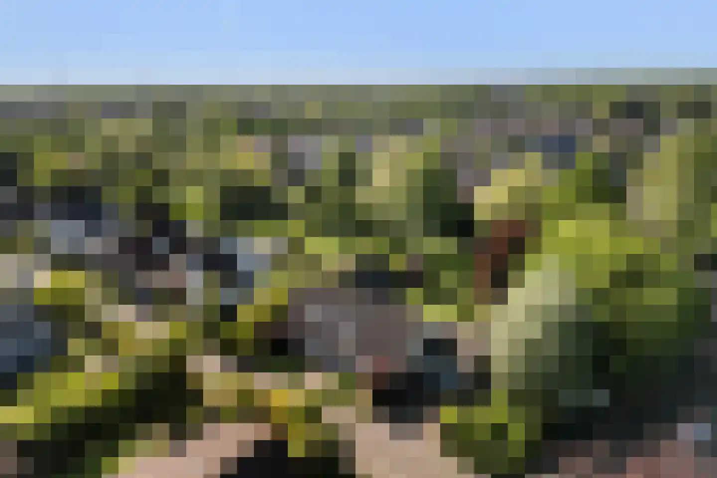 De Draf 2 Dronten thumbnail 47